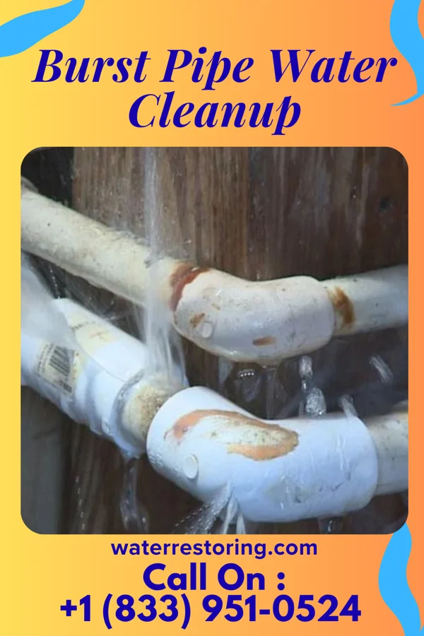 Burst Pipe Water Cleanup in Lewisburg, WV