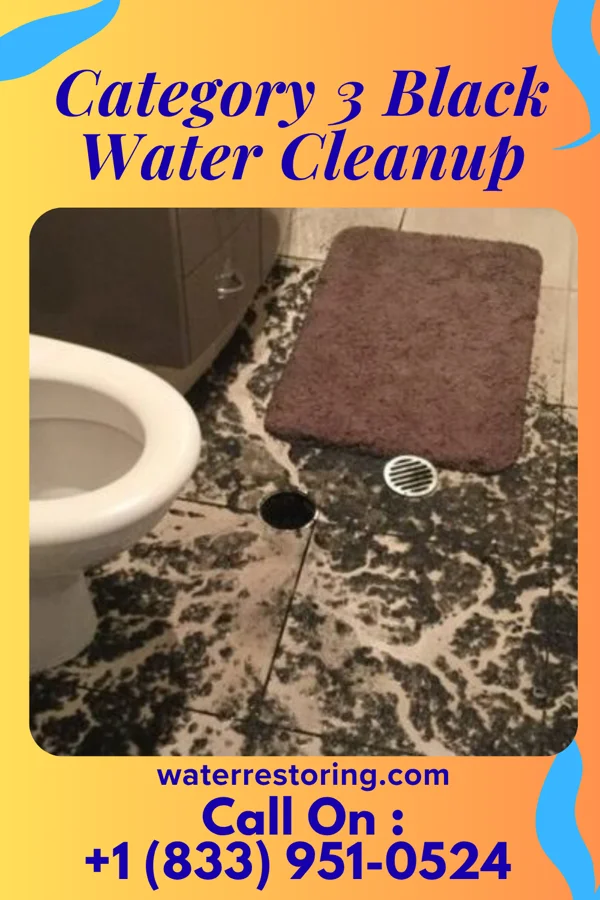 Category 3 Black Water Cleanup in Lewisburg, WV