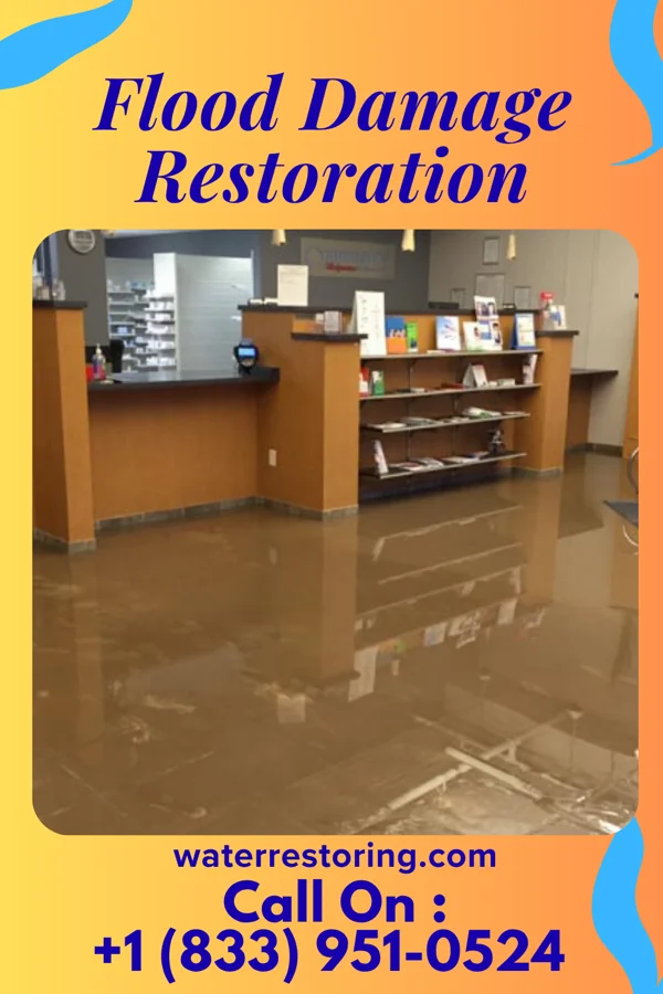 Flood Damage Restoration in Lewisburg, WV