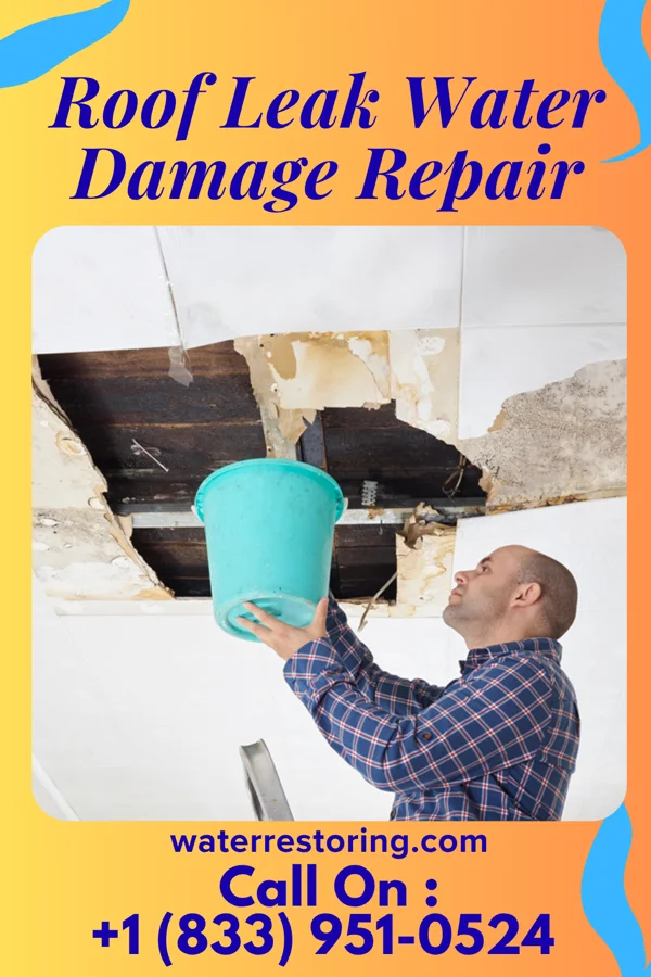 Roof Leak Water Damage Repair in Lewisburg, WV