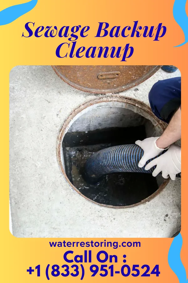 Sewage Backup Cleanup in Lewisburg, WV