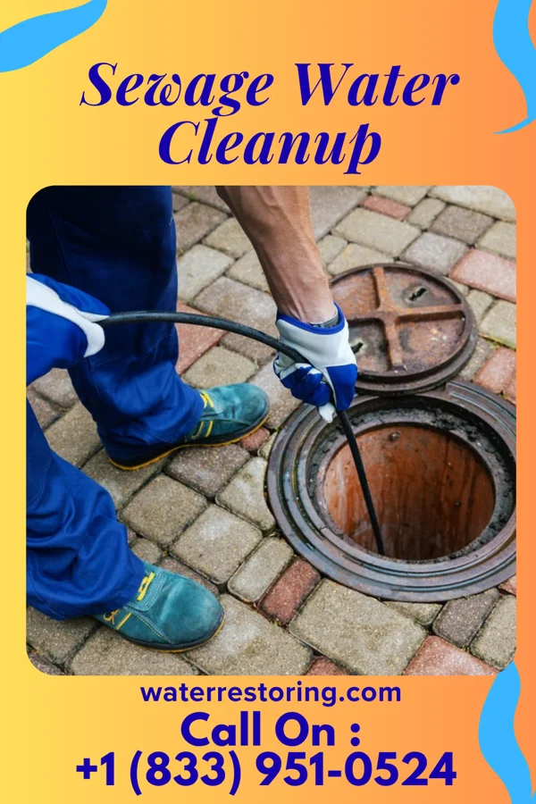 Sewage Water Cleanup in Lewisburg, WV