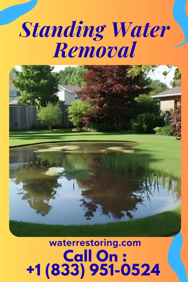 Standing Water Removal in Lewisburg, WV